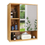 Wall Mounted Bathroom Medicine Cabinet with Storage_6